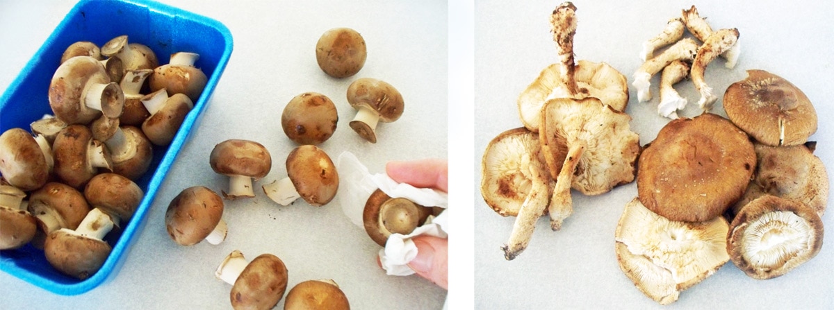 cleaning mushrooms using a damp paper towel.
