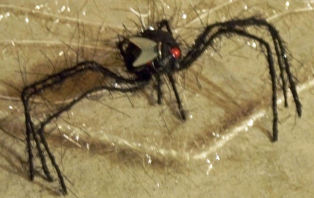 fuzzy toy spider with a plastic fly attached to its head.