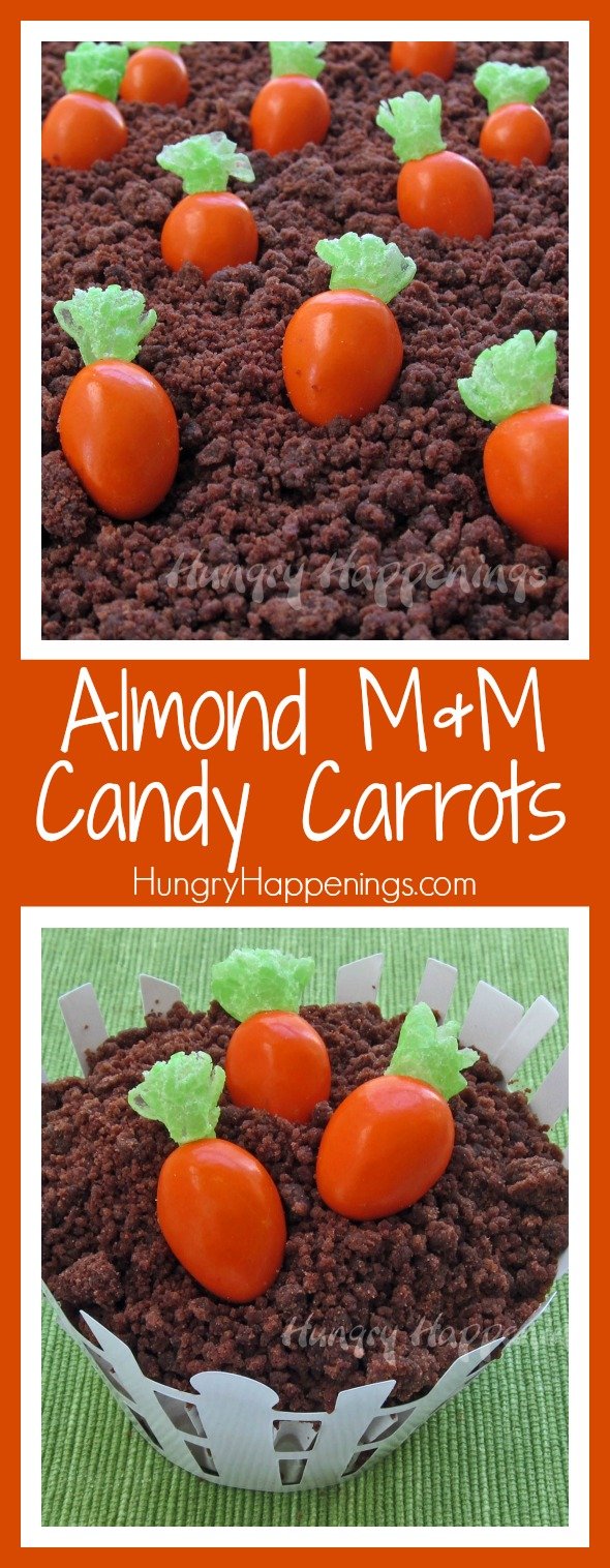 The Easter Bunny found the perfect treats to stick into your kids Easter Baskets! These Almond M&M Candy Carrots are simple to make and great gifts to hand out to your family!