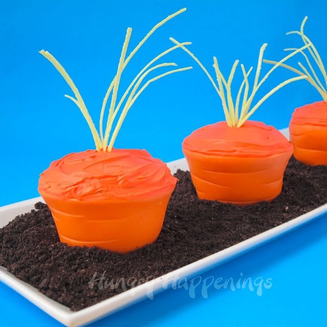 carrot cupcakes serve in chocolate dirt.