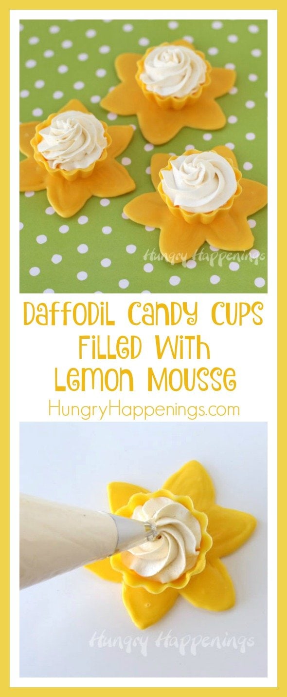 Looking for a simple recipe that looks like you spent hours in the kitchen making? Try making these Daffodil Candy Cups with Lemon Mousse! They are absolutely delicious and you wont be able to get enough!