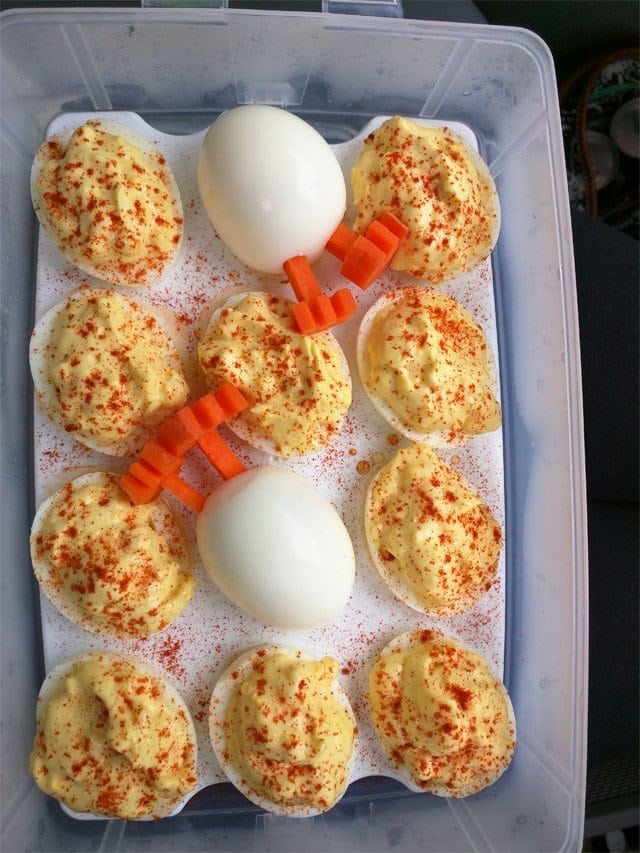 deviled eggs and hard-boiled egg hatching chicks. 