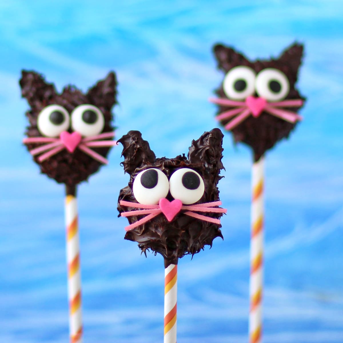 black cat lollipops