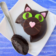 chocolate cat cakes