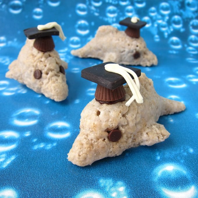Add candy graduation caps to the tops of Rice Krispie Treat Dolphins. 