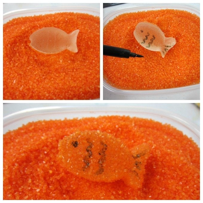 Color homemade gumdrop goldfish using orange decorating sugar and a black food coloring marker. 