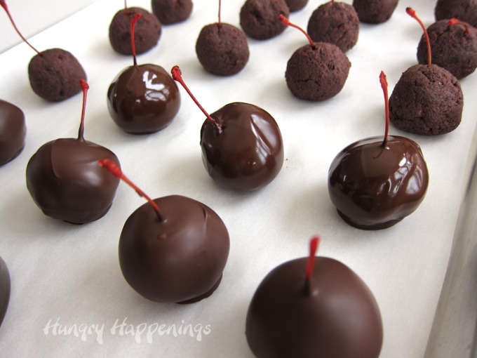 Chocolate dipped Maraschino cherry filled cake balls drying on baking pan.