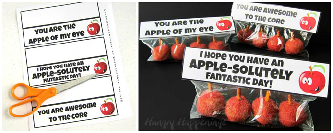 printable bag tags to be cut and added to bags filled with donut hole apples. 