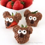 Chocolate Dipped Strawberry Bears