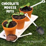 chocolate mousse flower pots topped with cookie crumb dirt and sprigs of mint