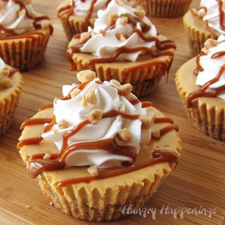 Mini Dulce de Leche Cheesecakes topped with whipped cream, caramel sauce, and toffee bits.