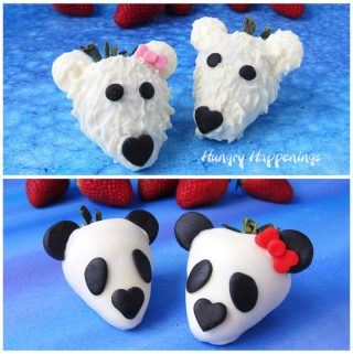 white chocolate dipped strawberry polar bears and panda bears on blue backgrounds set in front of fresh strawberries