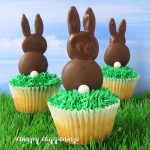 3 cupcakes topped with chocolate bunnies are set on green grass with a blue sky backdrop