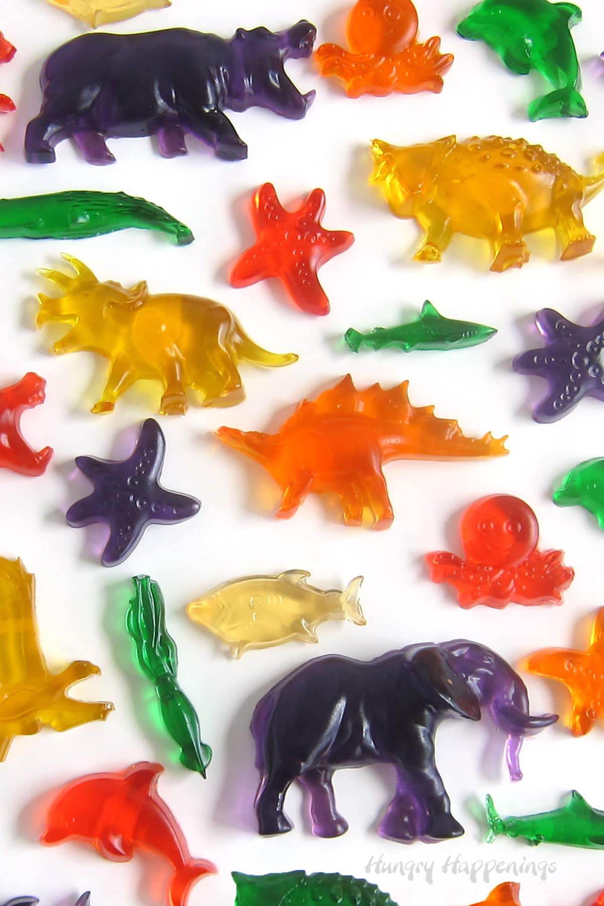 colorful gummy candy elephants, dolphins, starfish, sharks, hippos, and more