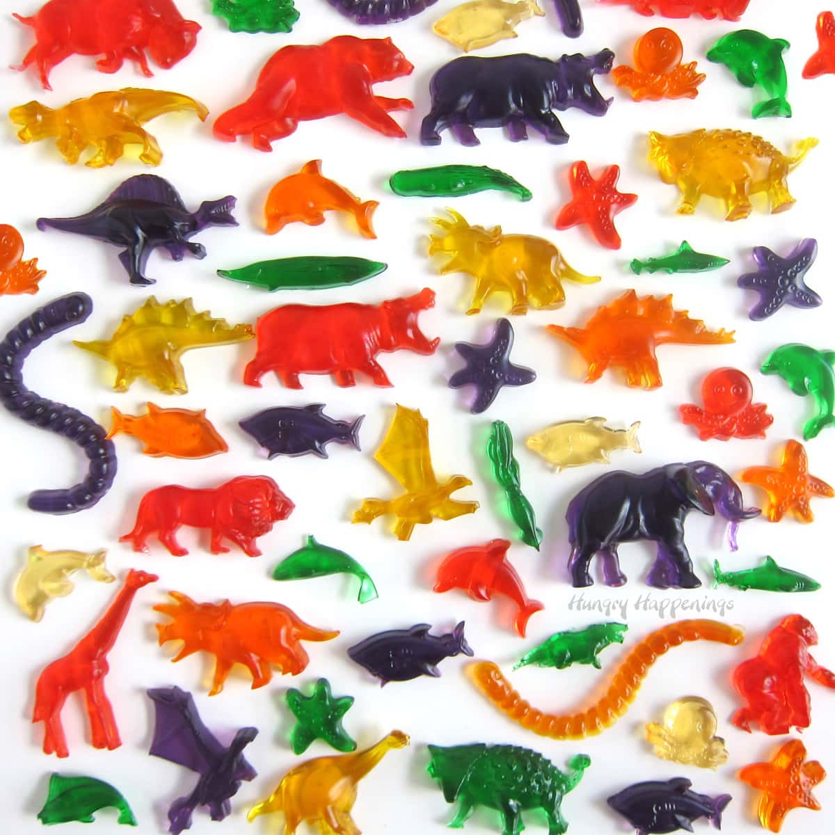 homemade gummy worms, sharks, fish, elephant, dinosaurs, starfish, hippos, lions, giraffe, bears, and more