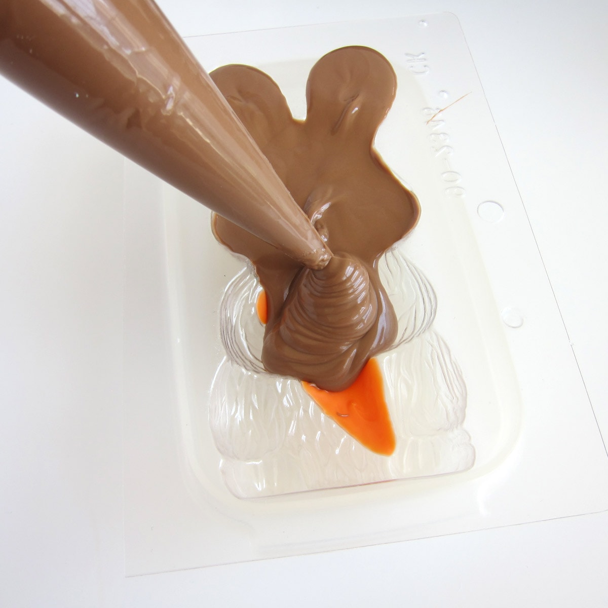 Fill the bunny candy mold with chocolate.