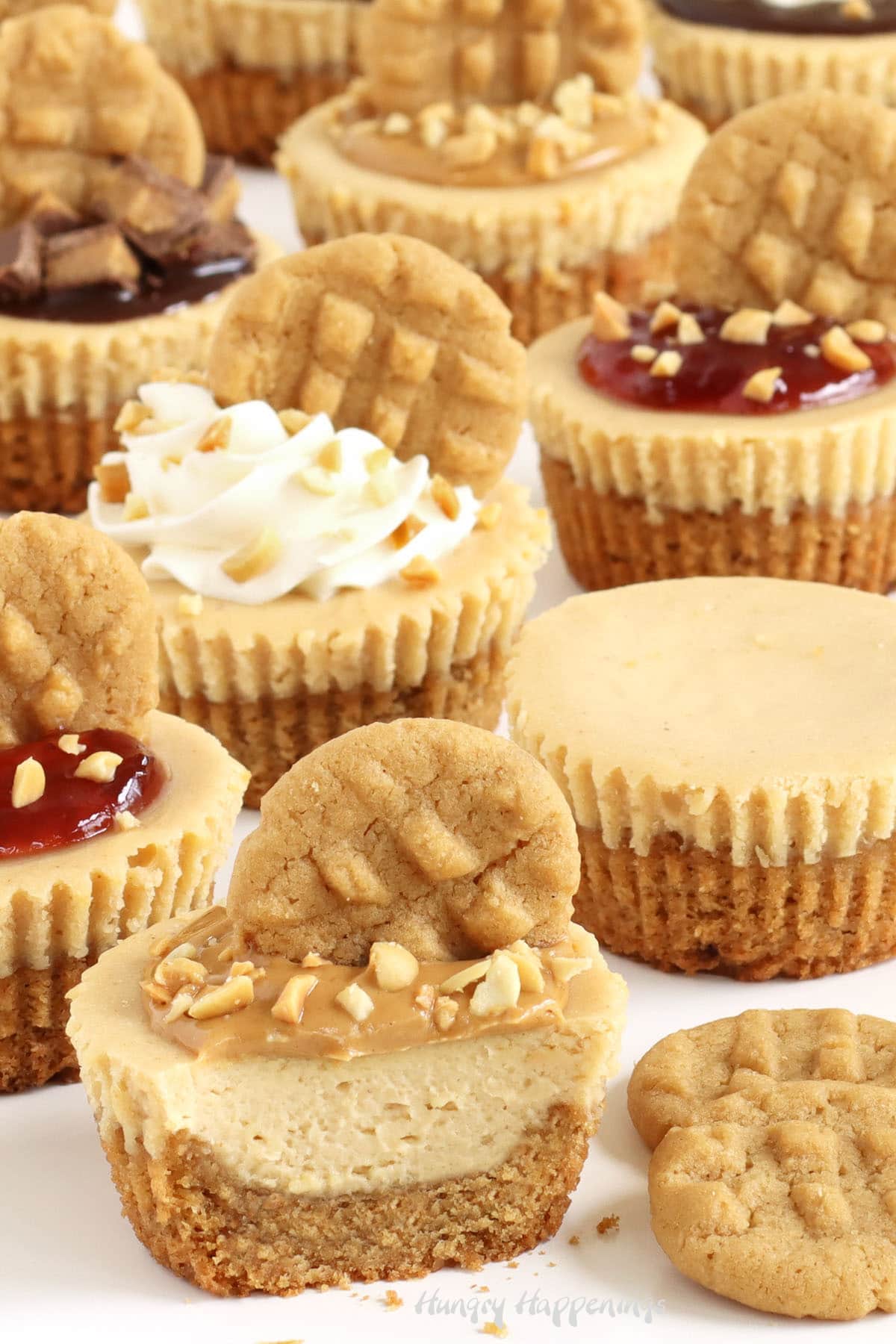 Mini peanut butter cheesecakes plain and topped with peanut butter, whipped cream, jelly, and chocolate ganache.