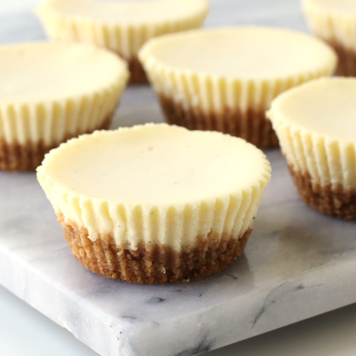 cheesecake cupcakes on mini graham cracker crusts displayed on a marble cutting board