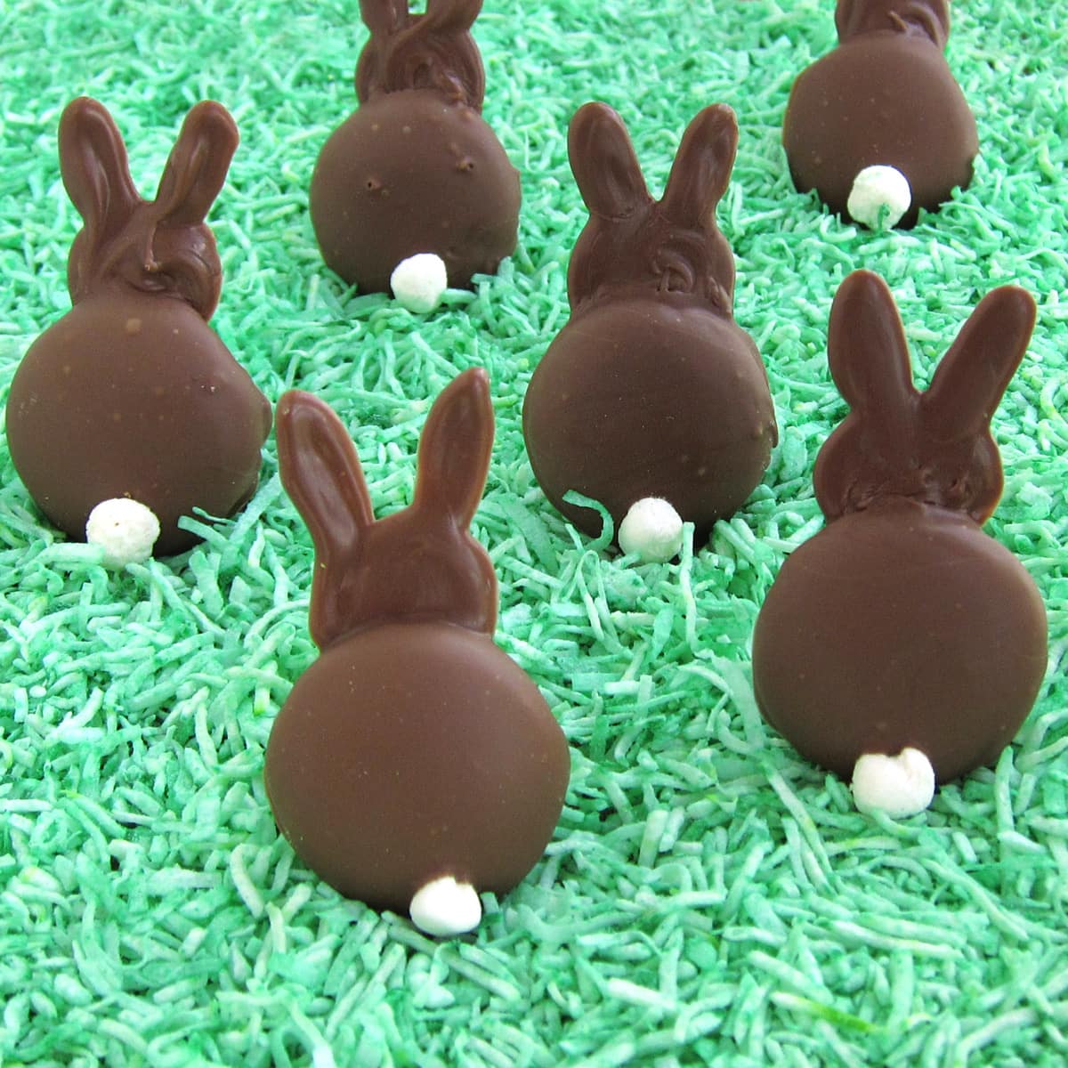 chocolate bunny cookies made with chocolate-dipped vanilla wafers and mini marshmallow tails all sitting in green coconut grass.