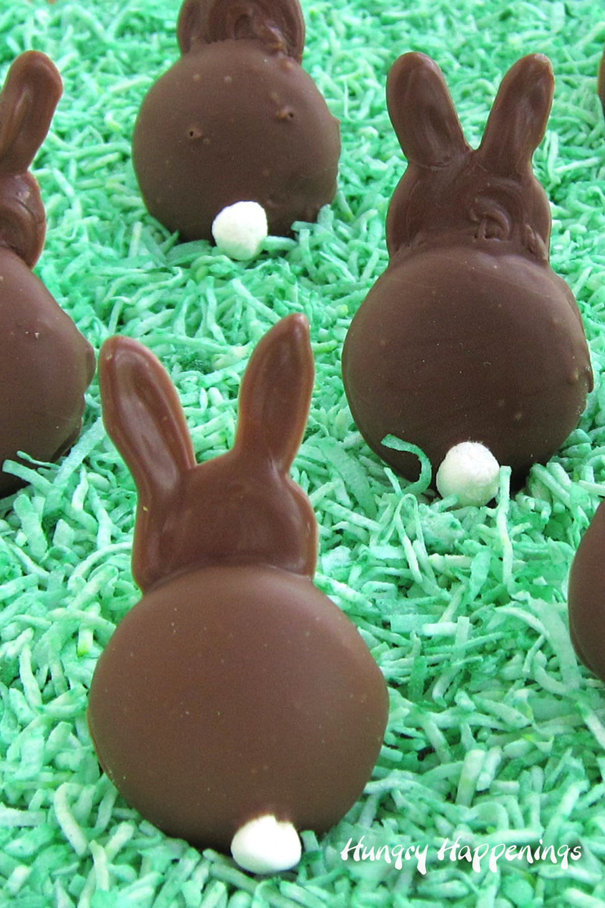 chocolate bunny cookies sitting in green coconut grass.