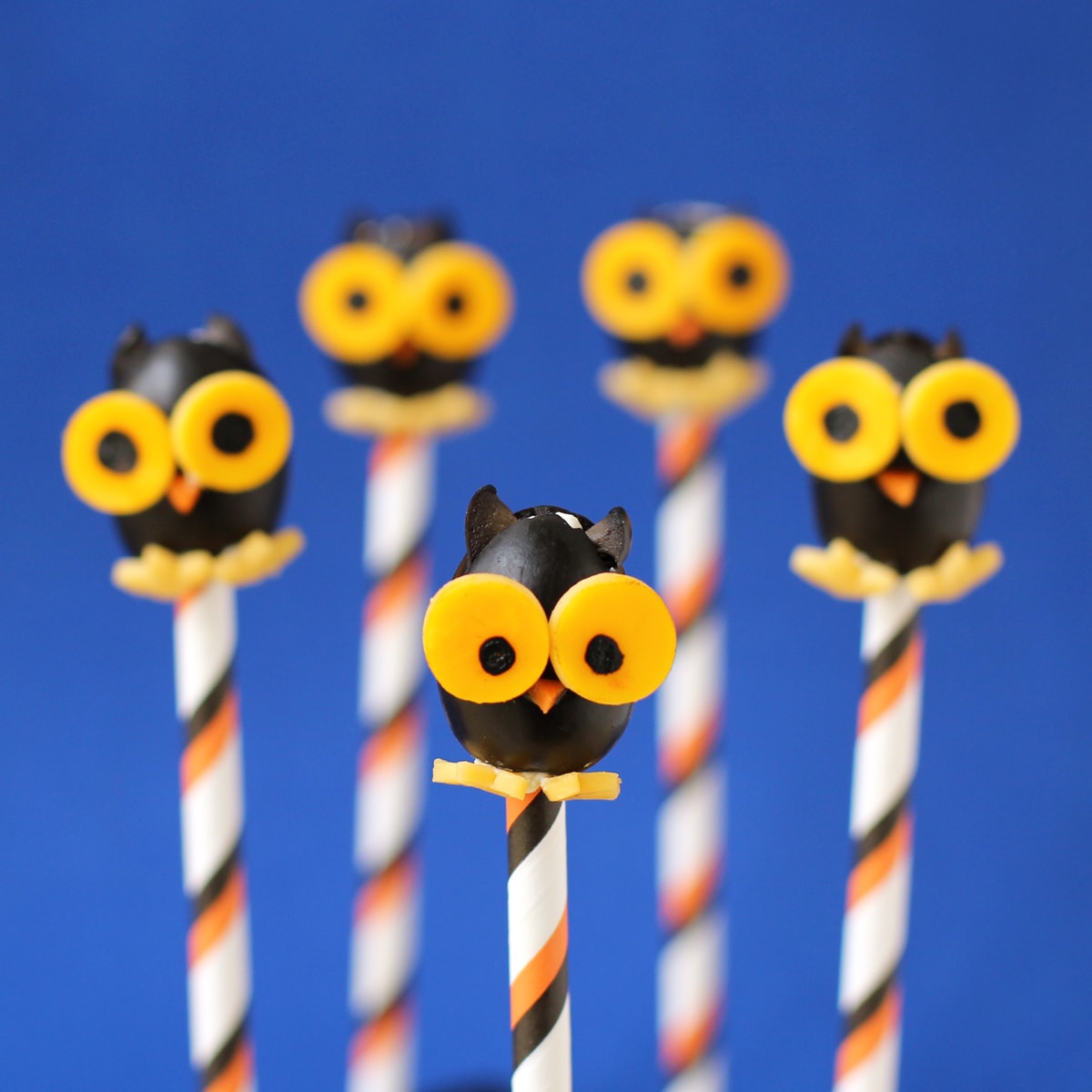 black olive owls on orange, black, and white paper straws, all arranged in front of a blue background.