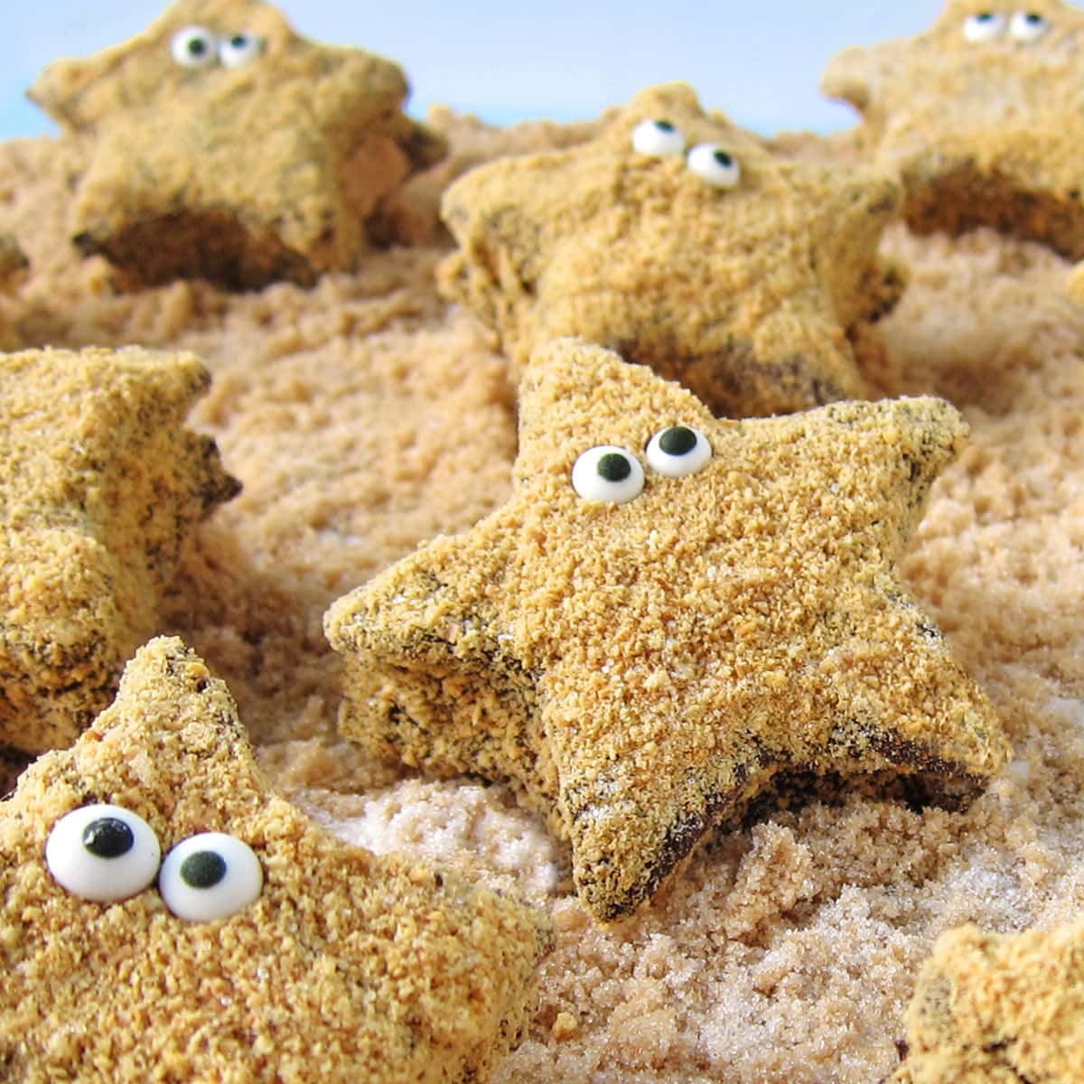 homemade chocolate-dipped marshmallow starfish s'mores topped with graham cracker crumbs with candy eyes are arranged on brown and white sugar sand.