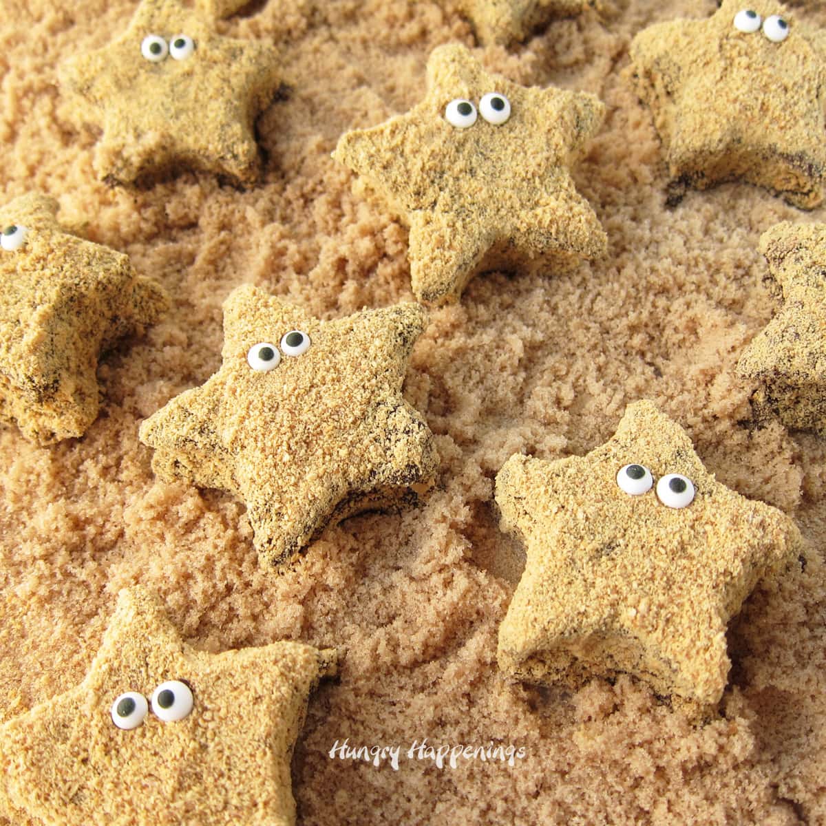 star-shaped marshmallows dipped in chocolate and coated with graham crackers are decorated with candy eyes to look like starfish.